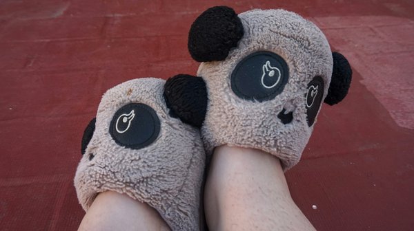 Chausson animal homme : alliez confort et fantaisie à la maison